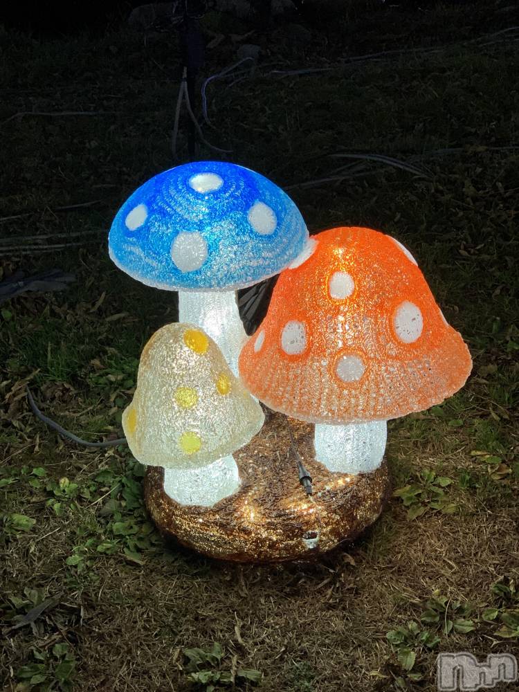 ĮХ顦֥ ץ ( ץ ) ߤ927̥֥֡