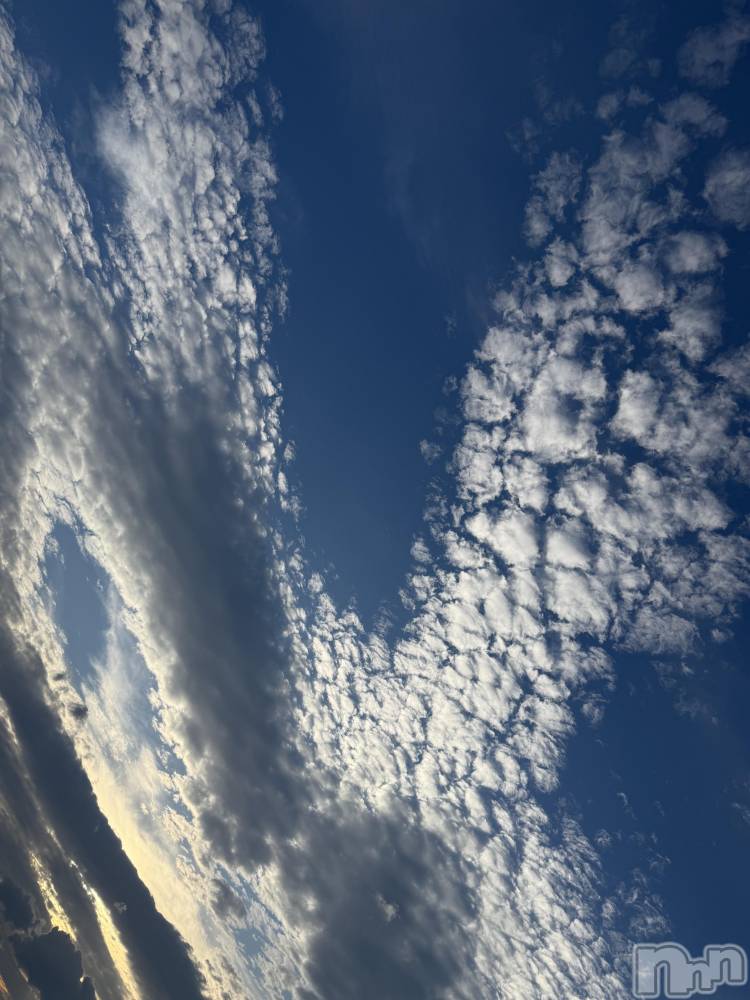 ĮХ顦֥ ץ ( ץ ) ߤ929̥֥֡