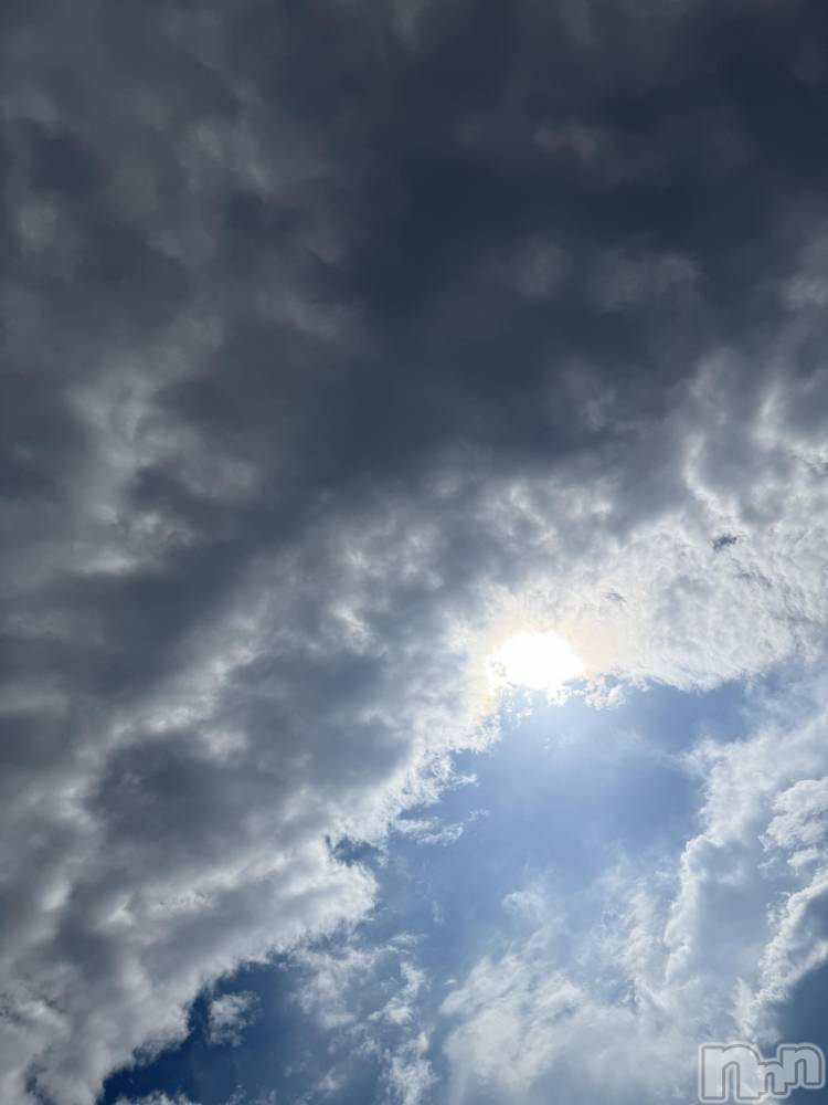 ĮХ顦֥ ץ ( ץ ) ߤ1011̥֥֡