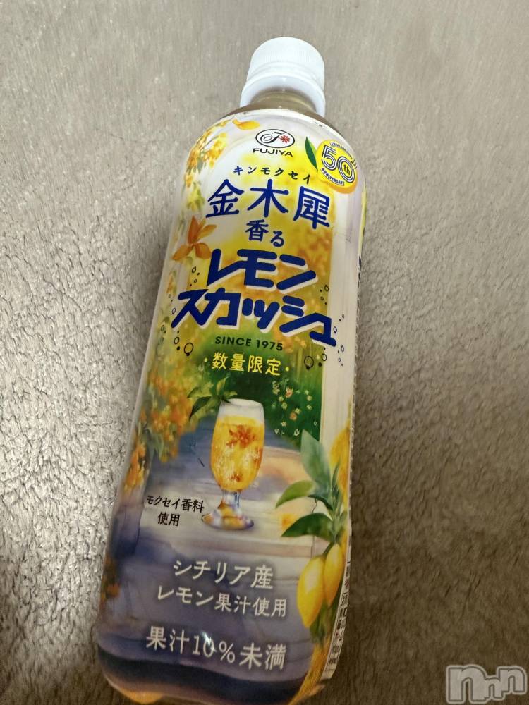 ĮХ顦֥ ץ ( ץ ) ߤ1013̥֥֡