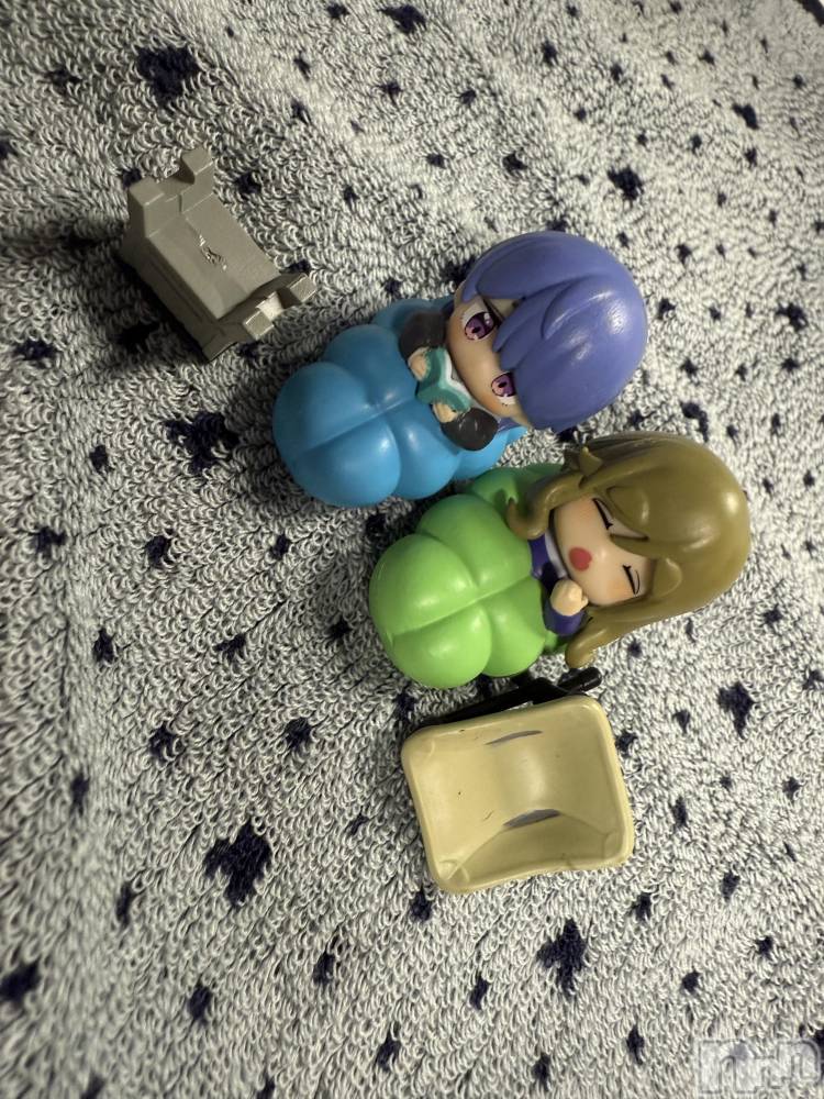 ĮХ顦֥ ץ ( ץ ) ߤ1015̥֥֡