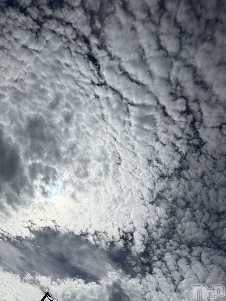 ĮХ顦֥ ץ ( ץ ) ߤ1018̥֥֡