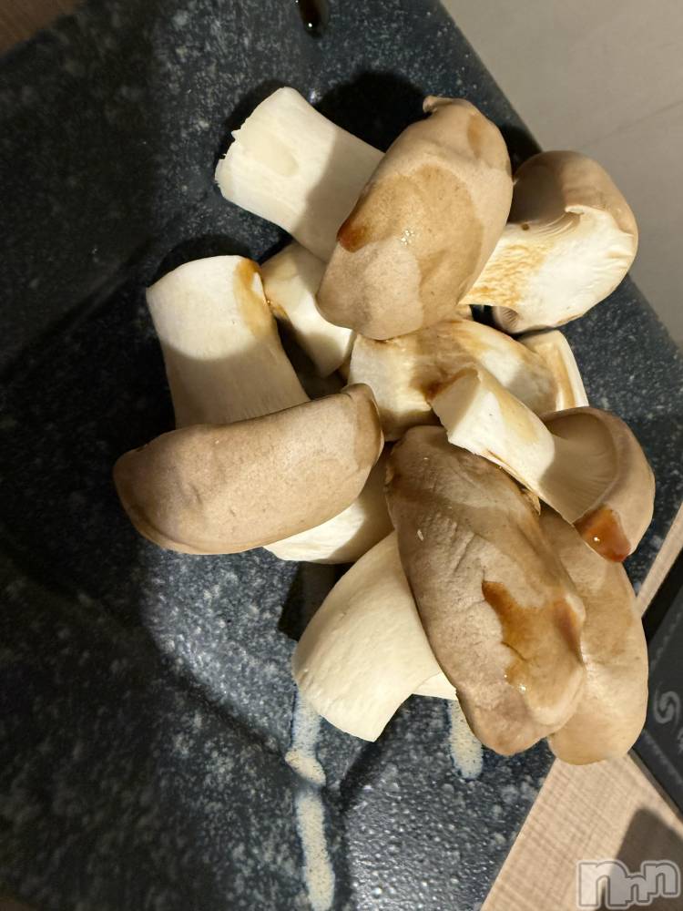 ĮХ顦֥ ץ ( ץ ) ߤ1019̥֥֡