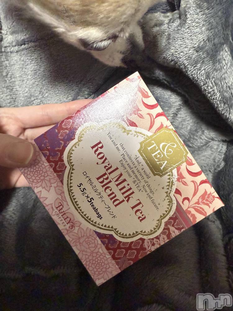 ĮХ顦֥ ץ ( ץ ) ߤ1022̥֥֡