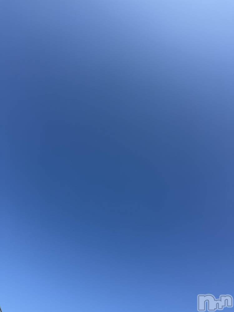 ĮХ顦֥ ץ ( ץ ) ߤ1030̥֥֡