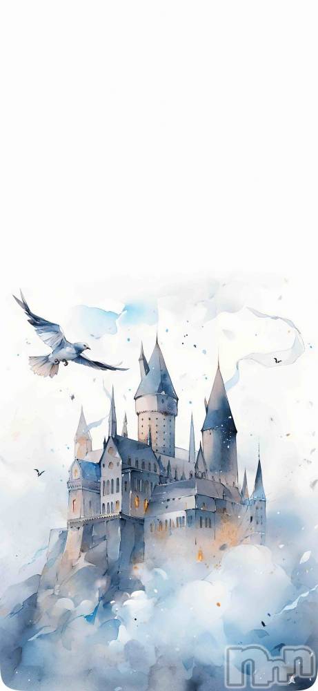 ĮХ顦֥ ץ ( ץ ) ߤ111̥֥֡