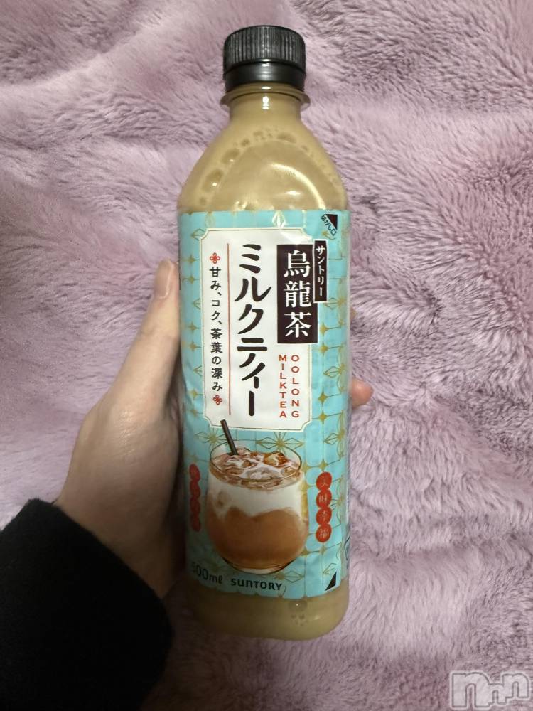 ĮХ顦֥ ץ ( ץ ) ߤ117̥֥֡