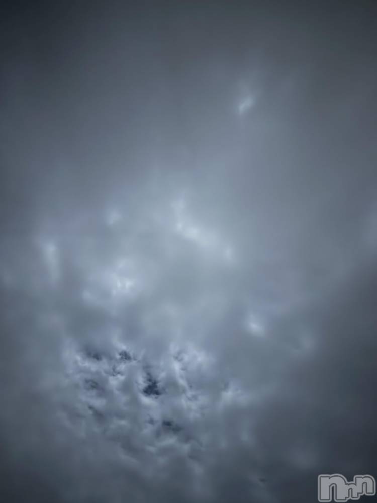 ĮХ顦֥ ץ ( ץ ) ߤ119̥֥֡