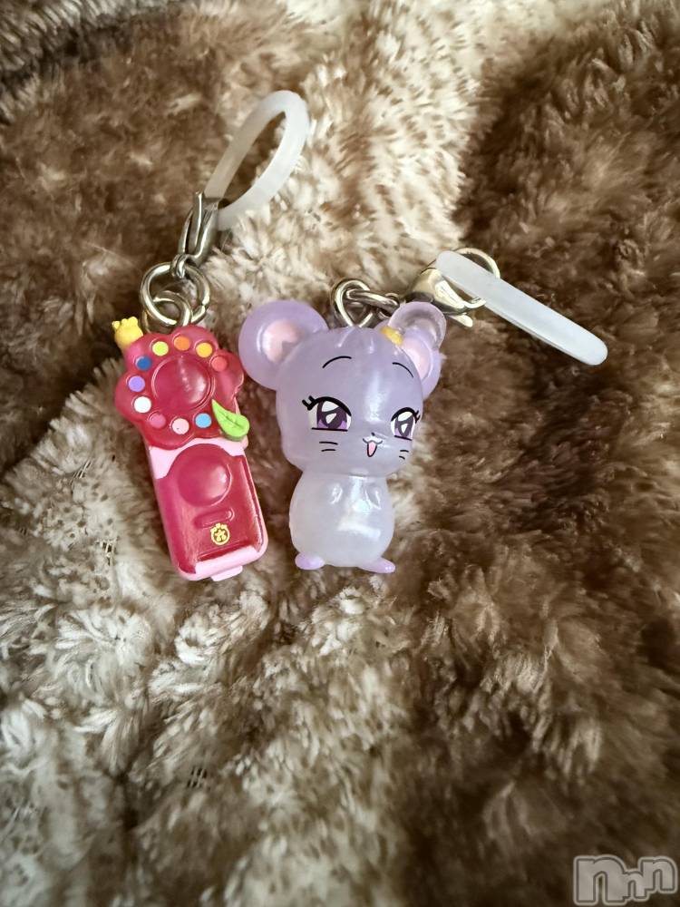 ĮХ顦֥ ץ ( ץ ) ߤ1112̥֥֡