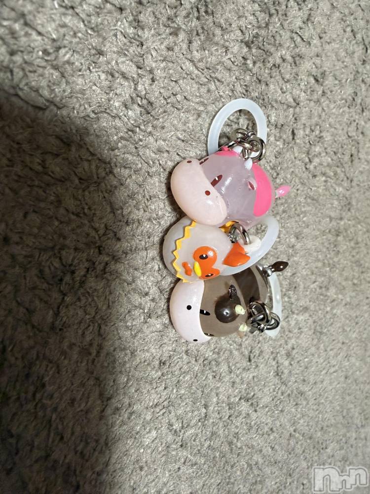 ĮХ顦֥ ץ ( ץ ) ߤ1118̥֥֡