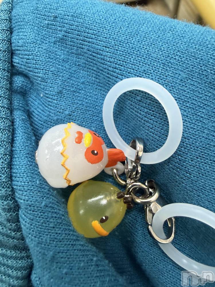 ĮХ顦֥ ץ ( ץ ) ߤ1120̥֥֡