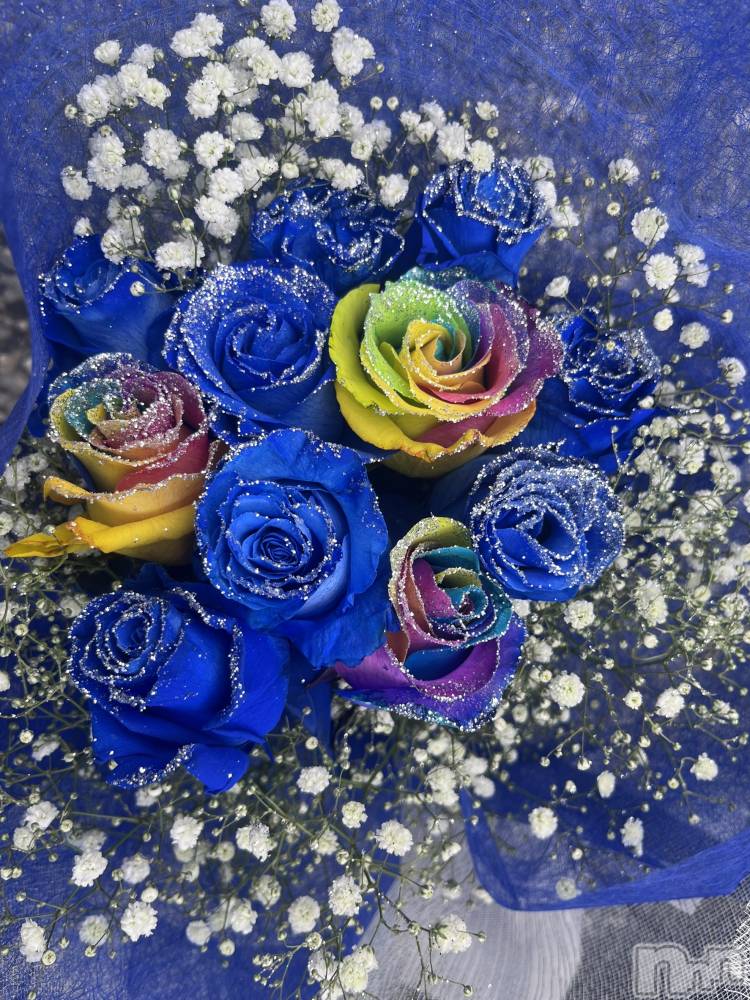 ĮХ顦֥ ץ ( ץ ) ߤ1121̥֥֡