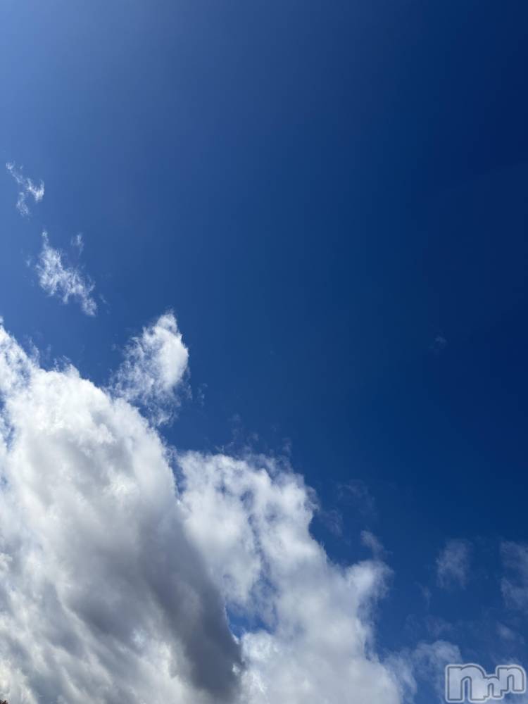 ĮХ顦֥ ץ ( ץ ) ߤ1124̥֥1124 1517ʬΥ֥