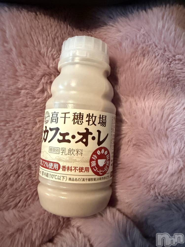 ��Į����Х��顦����֥���� �ץ���� ����(����� �ץ���� ������) ���ߤ���11��27���̥�֥����֡���