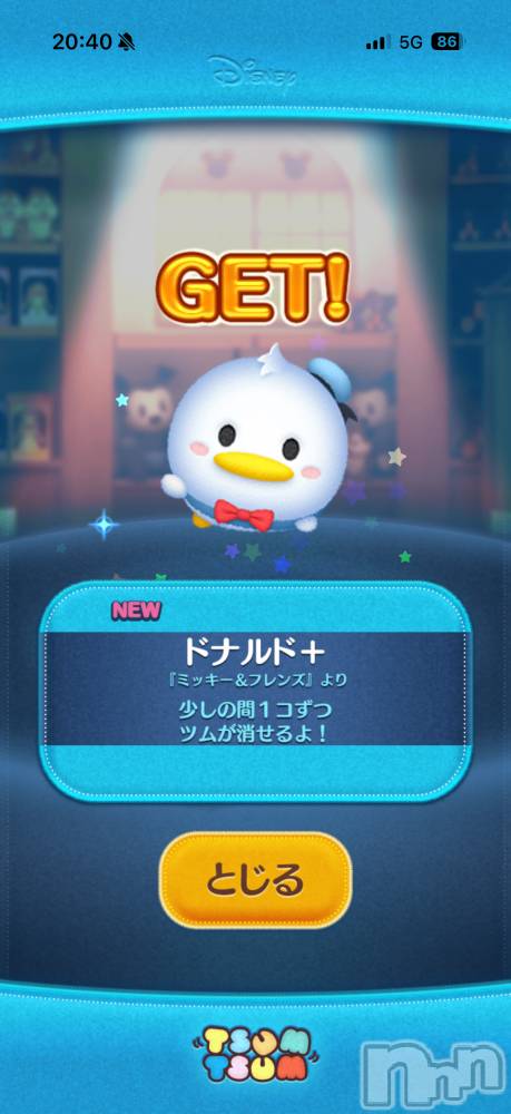 ��Į����Х��顦����֥���� �ץ���� ����(����� �ץ���� ������) ���ߤ���11��27���̥�֥����֡���