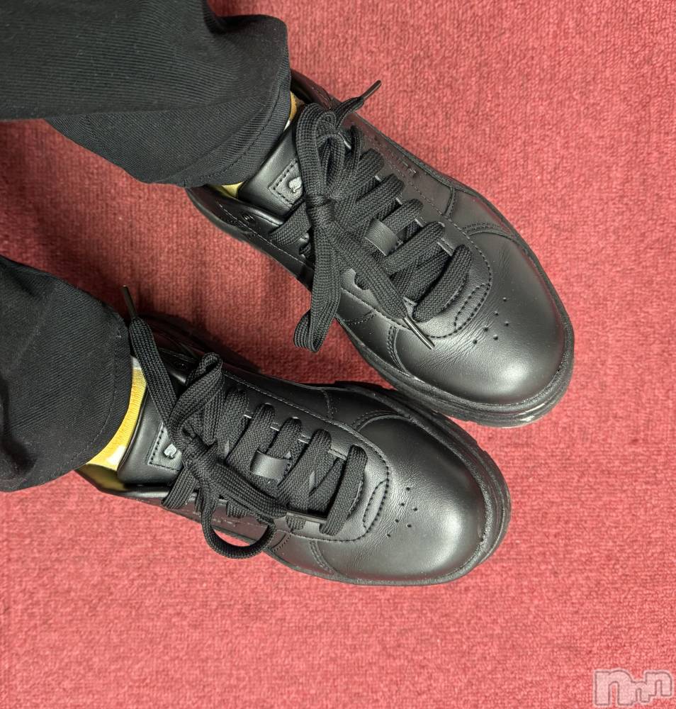 ĮХ顦֥ ץ ( ץ ) ߤ1130̥֥֡