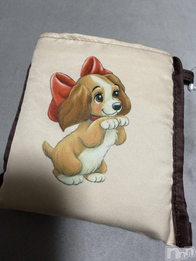 ĮХ顦֥ ץ ( ץ ) ߤ1130̥֥֡