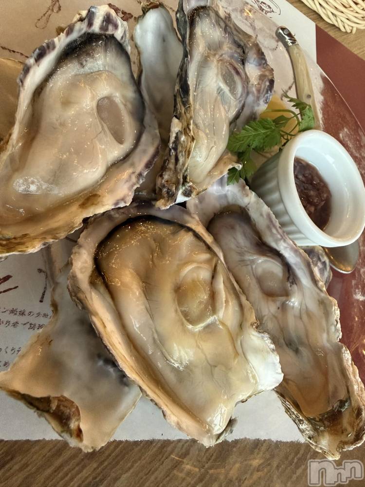 ĮХ顦֥ ץ ( ץ ) ߤ121̥֥֡