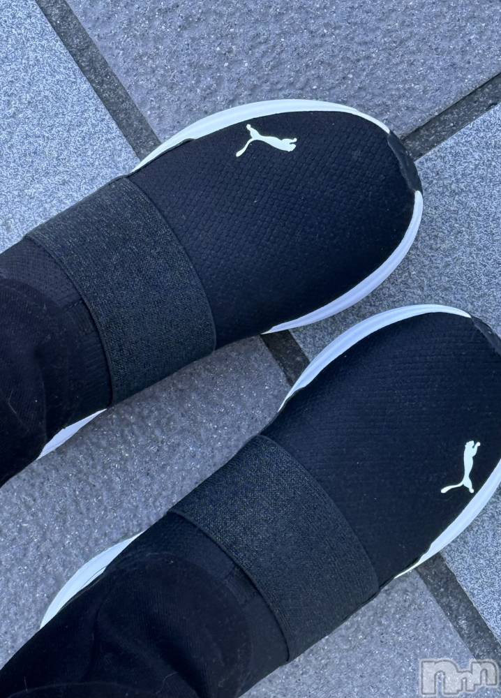 ĮХ顦֥ ץ ( ץ ) ߤ123̥֥֡