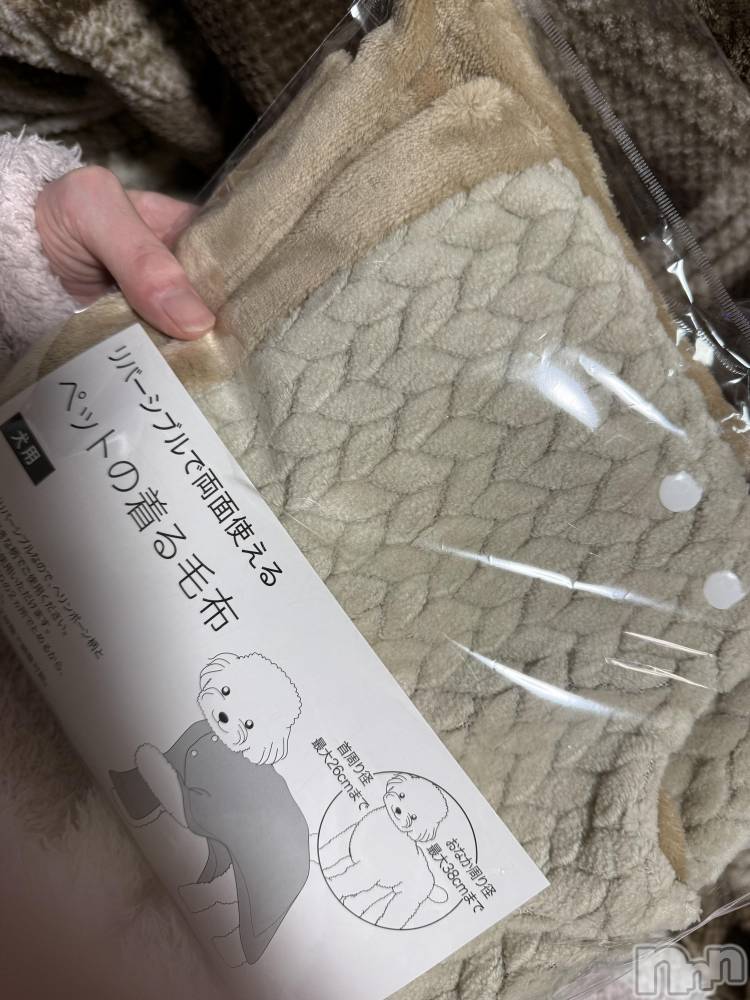 ĮХ顦֥ ץ ( ץ ) ߤ124̥֥֡