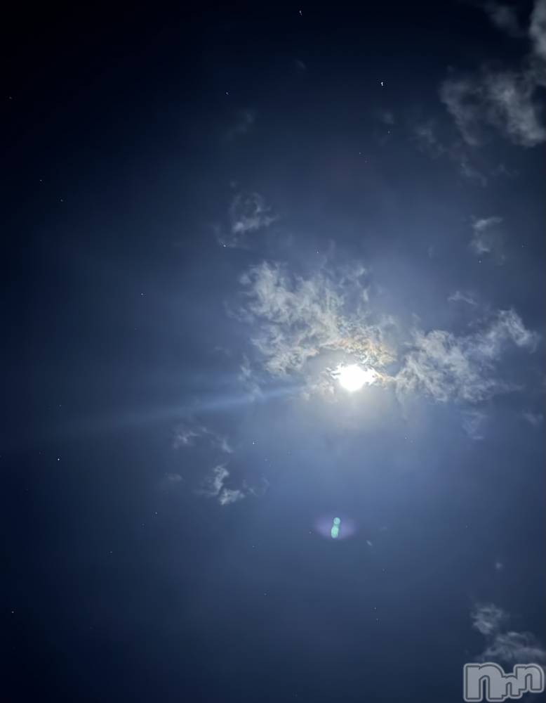 ĮХ顦֥ ץ ( ץ ) ߤ125̥֥֡