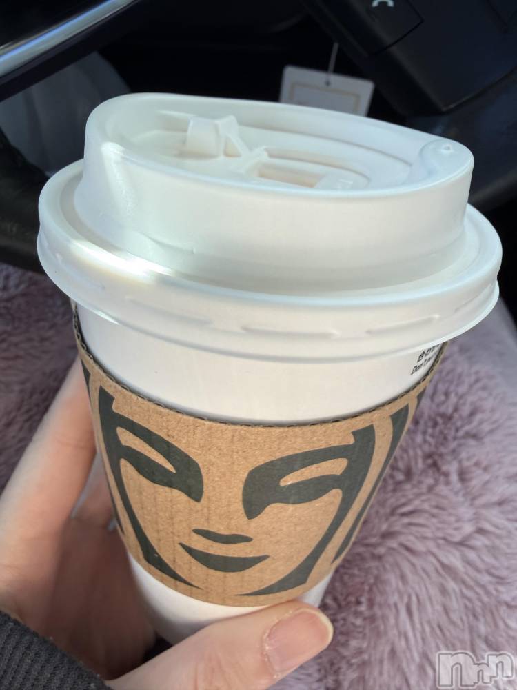 ��Į����Х��顦����֥���� �ץ���� ����(����� �ץ���� ������) ���ߤ���12��19���̥�֥����֡���