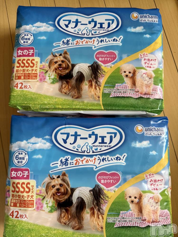 ��Į����Х��顦����֥���� �ץ���� ����(����� �ץ���� ������) ���ߤ���12��20���̥�֥����֡���