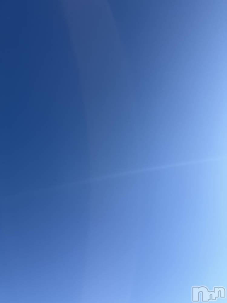 ��Į����Х��顦����֥���� �ץ���� ����(����� �ץ���� ������) ���ߤ���12��20���̥�֥����֡���