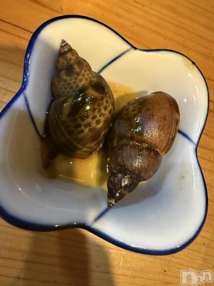 ��Į����Х��顦����֥���� �ץ���� ����(����� �ץ���� ������) ���ߤ���12��21���̥�֥����֡���