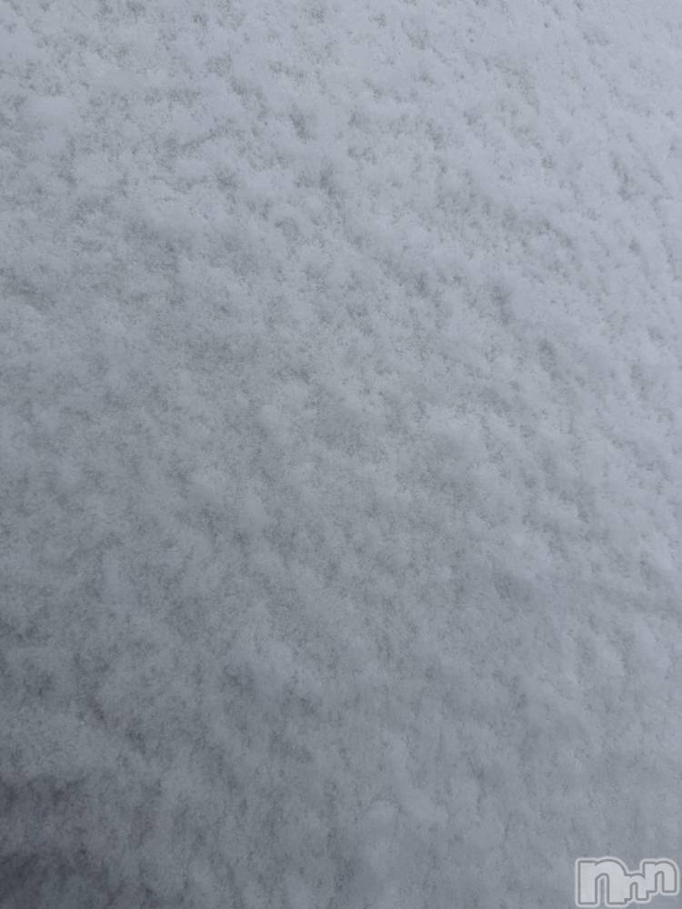 ��Į����Х��顦����֥���� �ץ���� ����(����� �ץ���� ������) ���ߤ���12��26���̥�֥����֡���