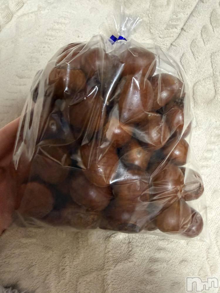 ��Į����Х��顦����֥���� �ץ���� ����(����� �ץ���� ������) ���ߤ���1��2���̥�֥����֡���