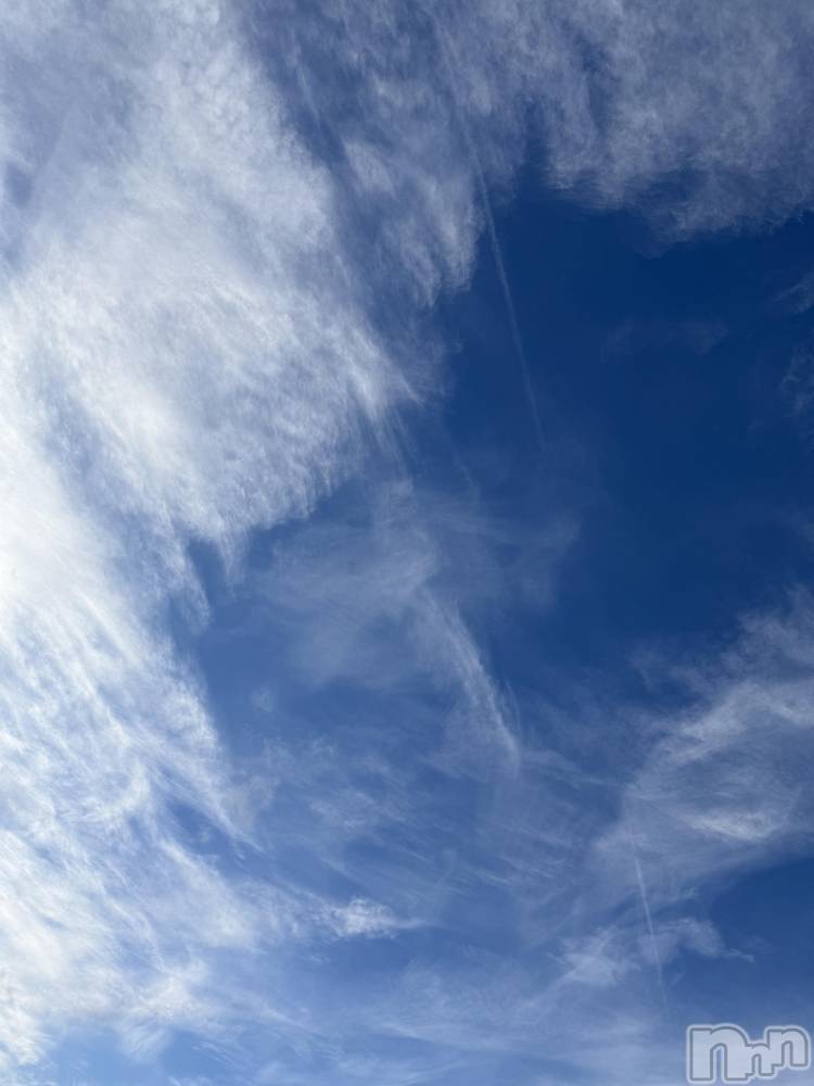 ��Į����Х��顦����֥���� �ץ���� ����(����� �ץ���� ������) ���ߤ���1��2���̥�֥����֡���