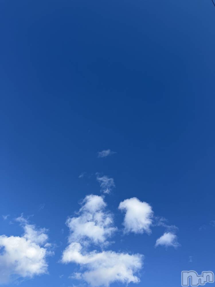 ��Į����Х��顦����֥���� �ץ���� ����(����� �ץ���� ������) ���ߤ���1��3���̥�֥����֡���