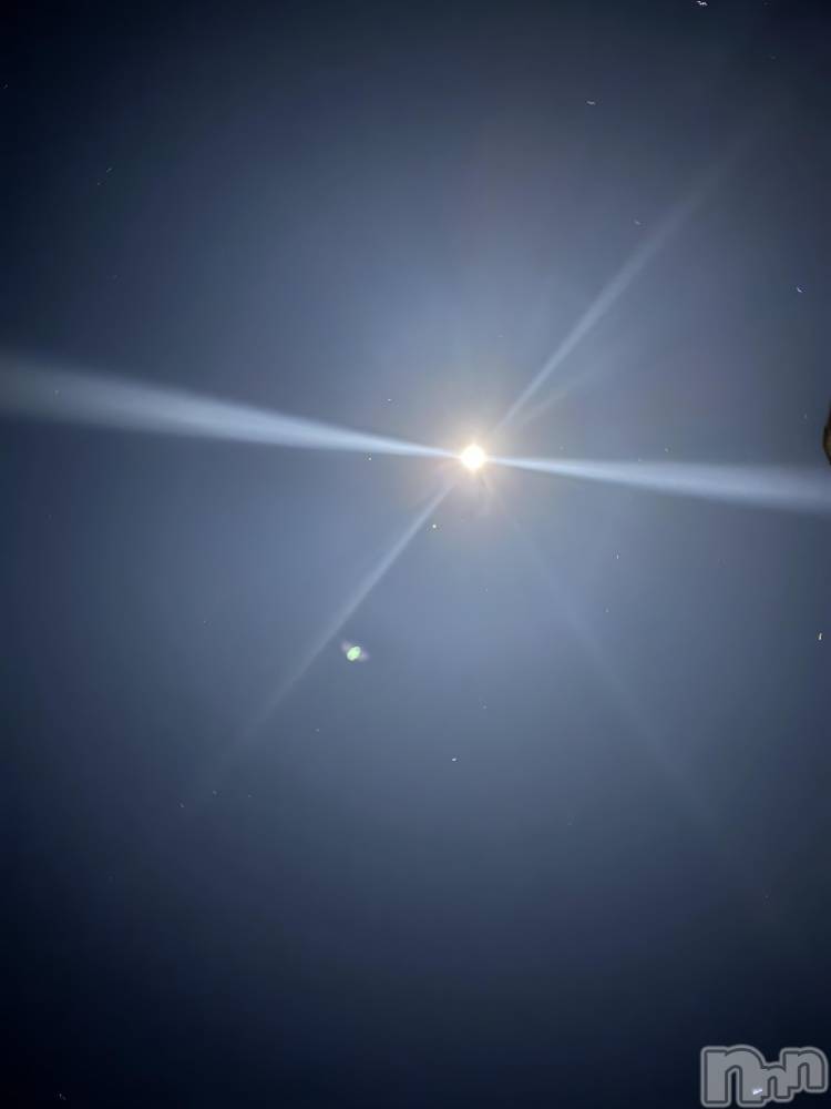 ��Į����Х��顦����֥���� �ץ���� ����(����� �ץ���� ������) ���ߤ���1��4���̥�֥����֡���