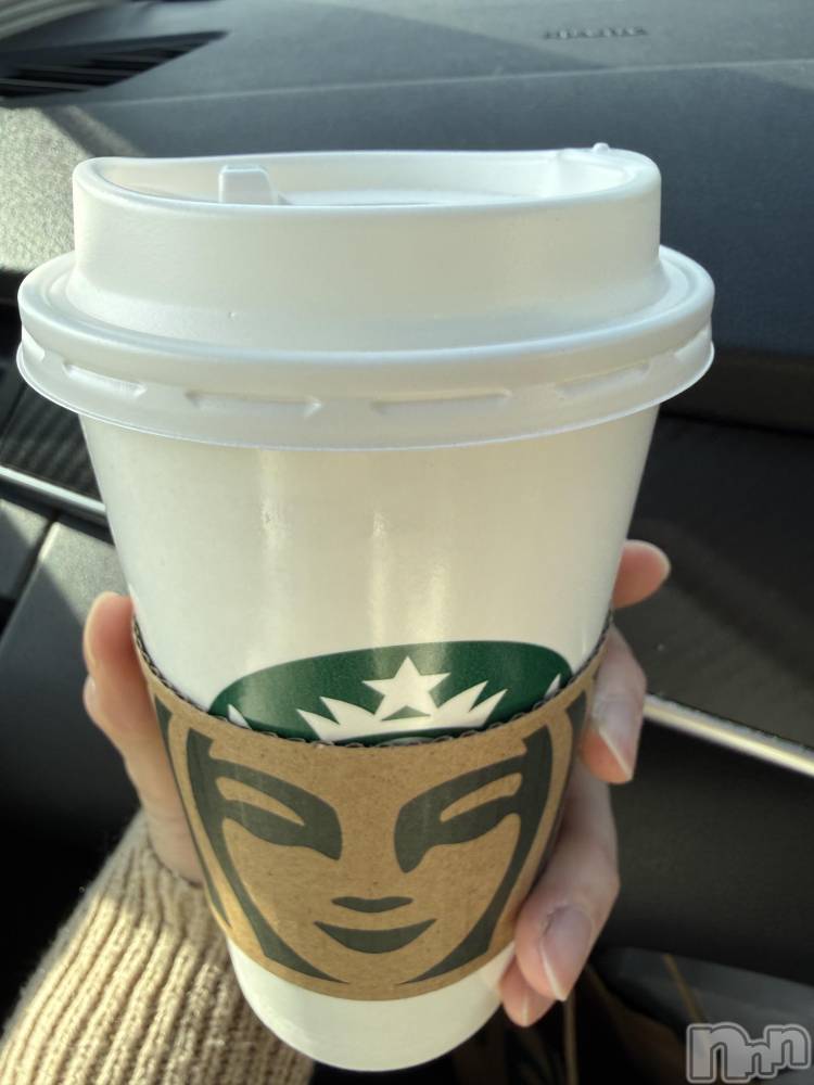 ��Į����Х��顦����֥���� �ץ���� ����(����� �ץ���� ������) ���ߤ���1��5���̥�֥����֡���