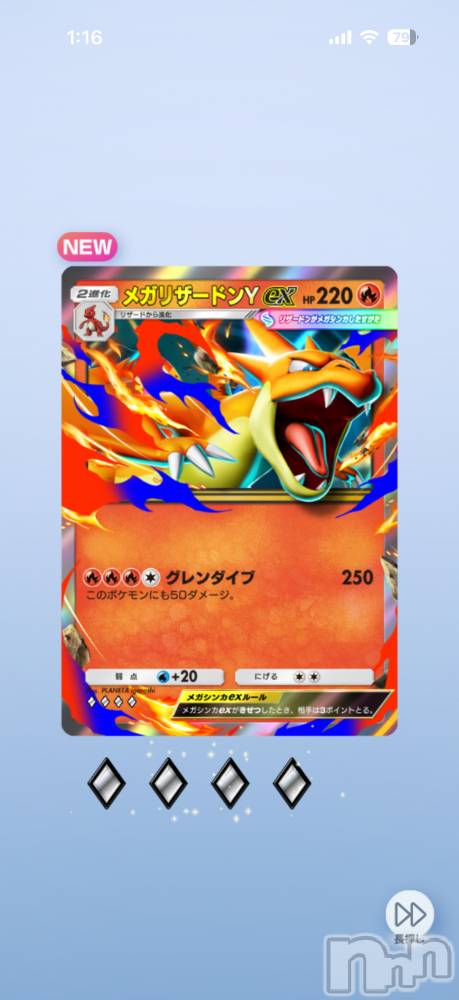 ��Į����Х��顦����֥���� �ץ���� ����(����� �ץ���� ������) ���ߤ���1��6���̥�֥����֡���