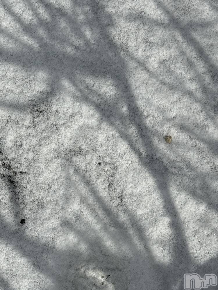 ��Į����Х��顦����֥���� �ץ���� ����(����� �ץ���� ������) ���ߤ���1��22���̥�֥����֡���