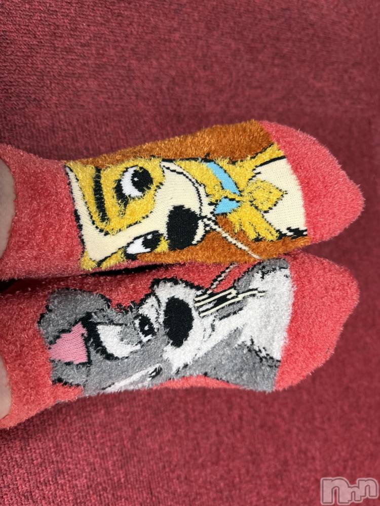 ��Į����Х��顦����֥���� �ץ���� ����(����� �ץ���� ������) ���ߤ���1��29���̥�֥����֡���