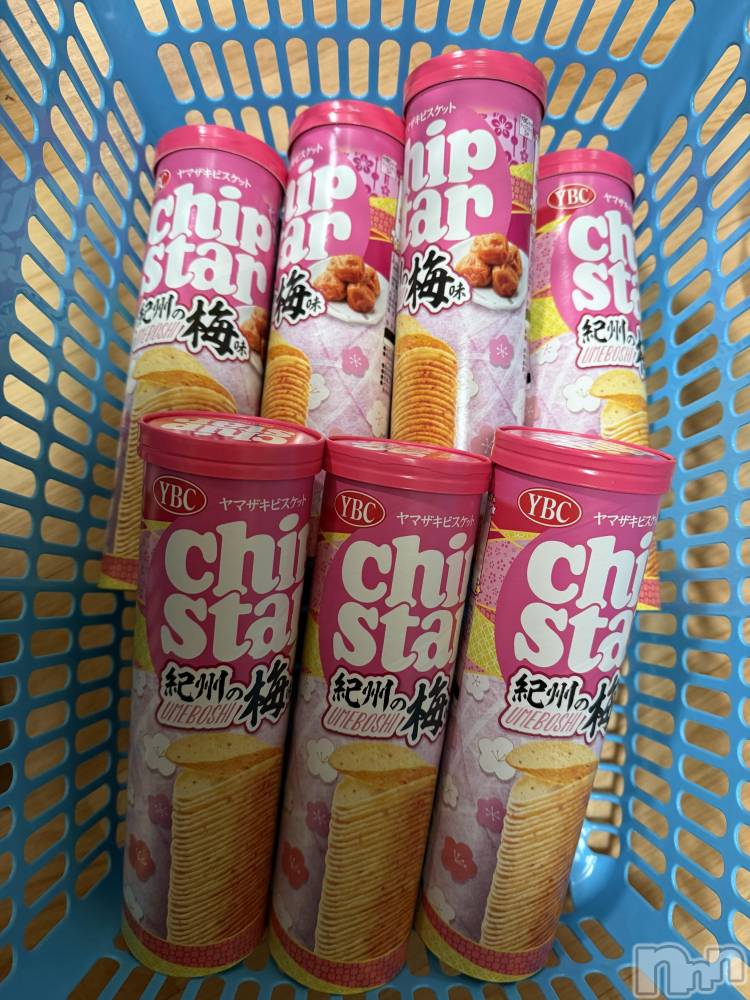 ��Į����Х��顦����֥���� �ץ���� ����(����� �ץ���� ������) ���ߤ���1��31���̥�֥����֡���