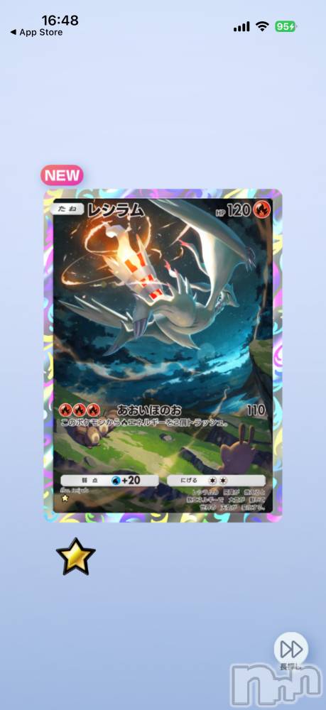 ��Į����Х��顦����֥���� �ץ���� ����(����� �ץ���� ������) ���ߤ���2��1���̥�֥����֡���