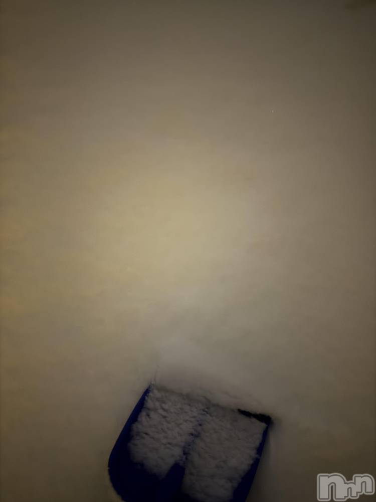 ��Į����Х��顦����֥���� �ץ���� ����(����� �ץ���� ������) ���ߤ���2��8���̥�֥����֡���