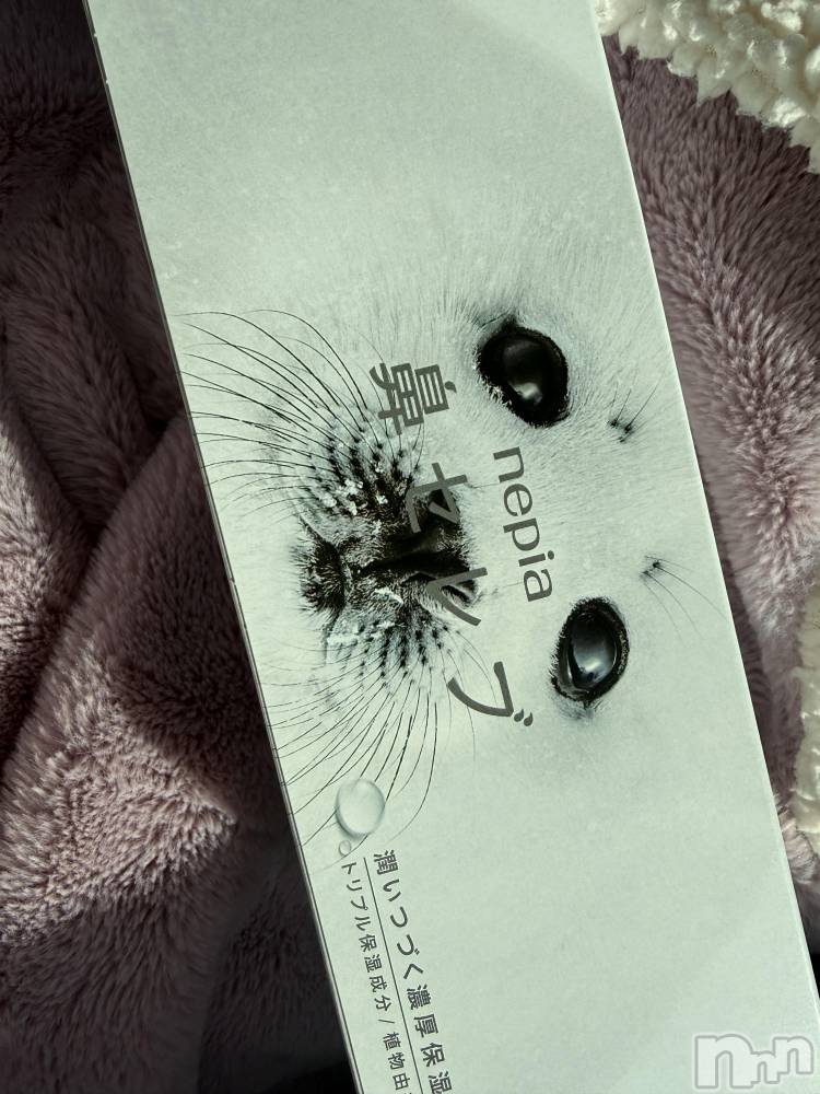 ��Į����Х��顦����֥���� �ץ���� ����(����� �ץ���� ������) ���ߤ���2��12���̥�֥����֡���