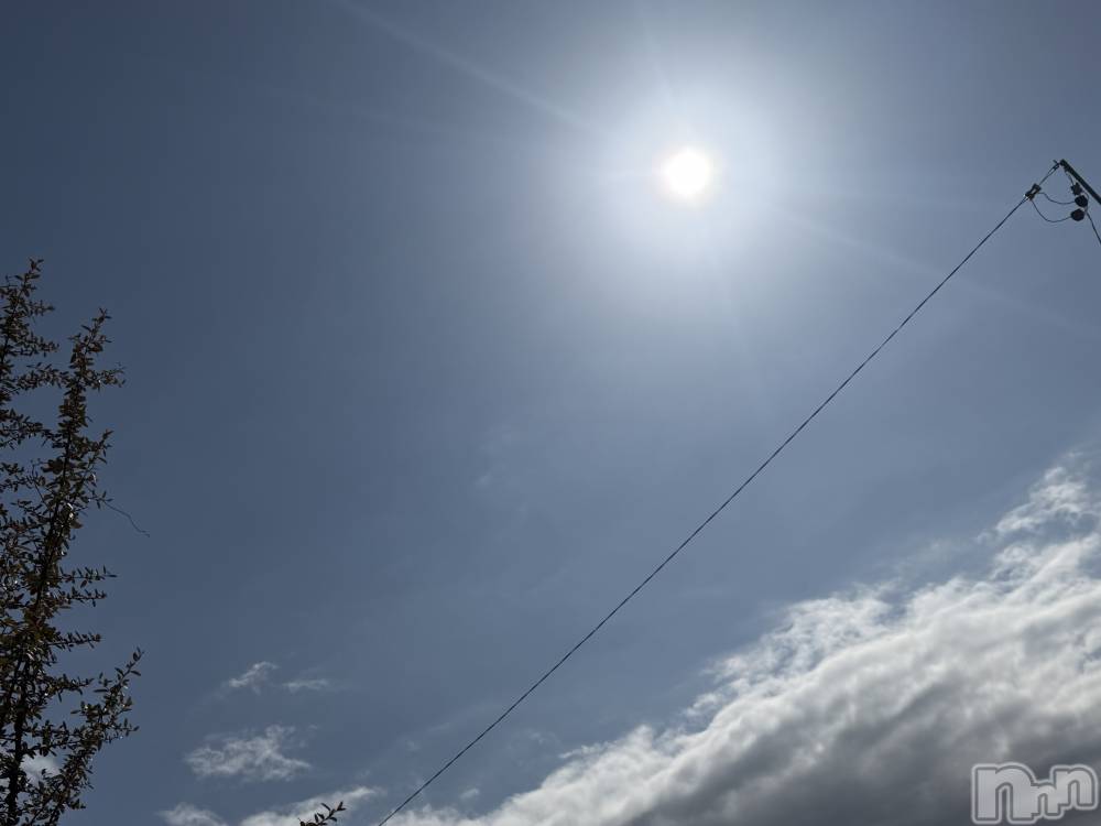 ��Į����Х��顦����֥���� �ץ���� ����(����� �ץ���� ������) ���ߤ���2��17���̥�֥����֡���