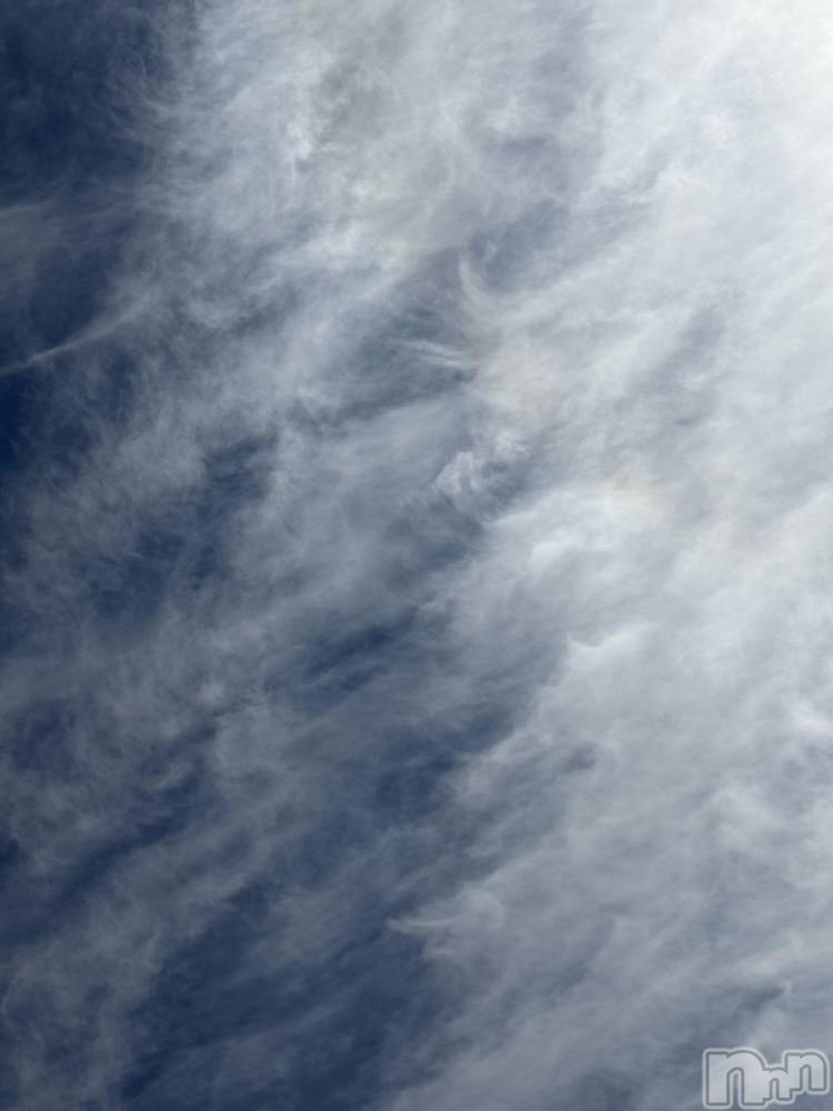 ��Į����Х��顦����֥���� �ץ���� ����(����� �ץ���� ������) ���ߤ���2��20���̥�֥����֡���