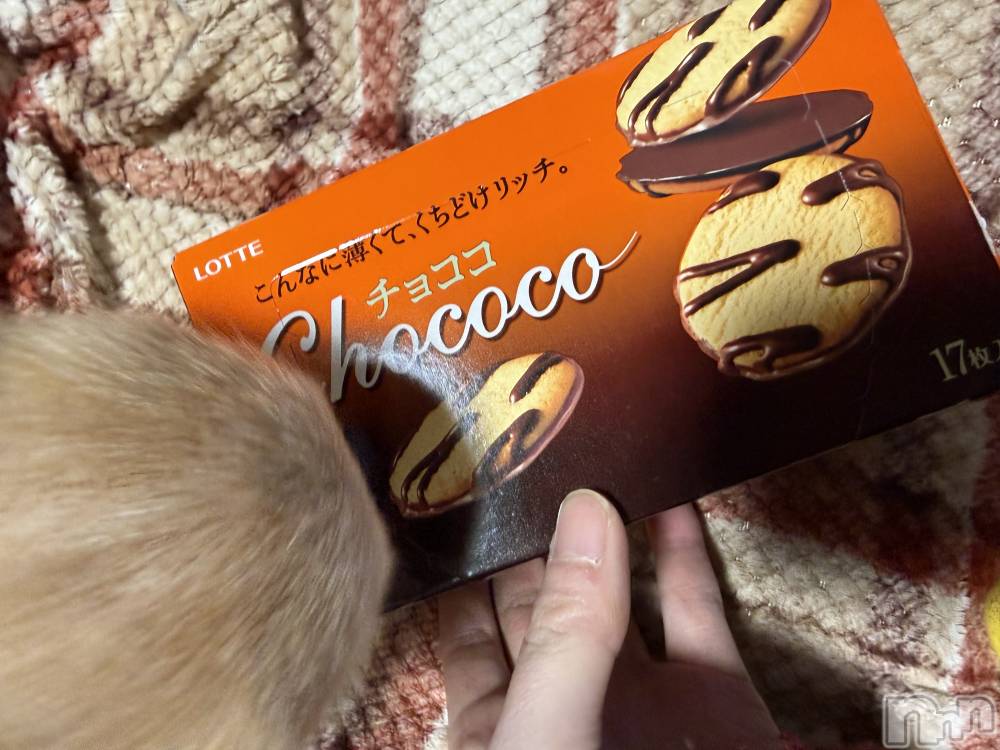 ��Į����Х��顦����֥���� �ץ���� ����(����� �ץ���� ������) ���ߤ���2��25���̥�֥����֡���