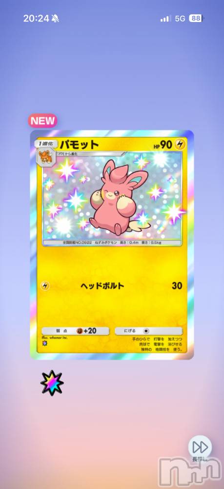 ��Į����Х��顦����֥���� �ץ���� ����(����� �ץ���� ������) ���ߤ���2��27���̥�֥����֡���