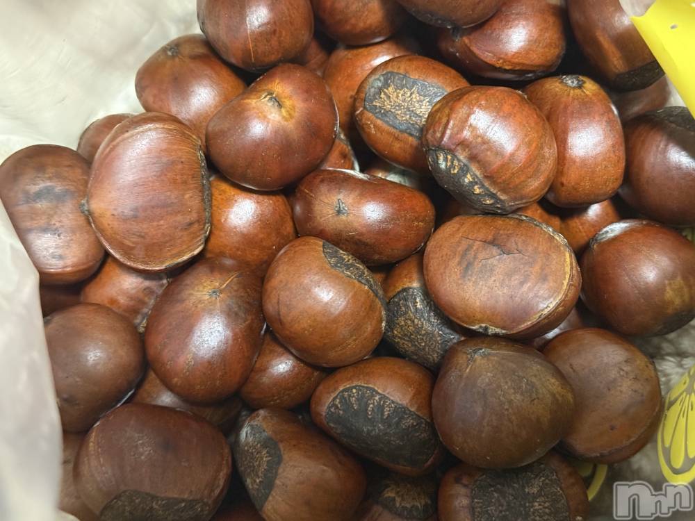 ��Į����Х��顦����֥���� �ץ���� ����(����� �ץ���� ������) ���ߤ���3��2���̥�֥����֡���