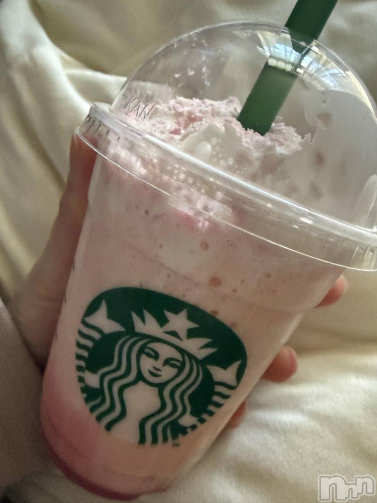 ��Į����Х��顦����֥���� �ץ���� ����(����� �ץ���� ������) ���ߤ���3��6���̥�֥����֡���