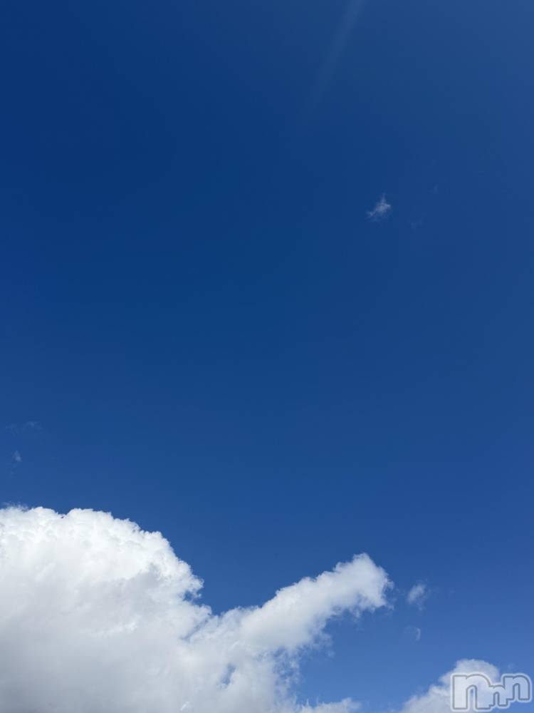 ��Į����Х��顦����֥���� �ץ���� ����(����� �ץ���� ������) ���ߤ���3��8���̥�֥����֡���