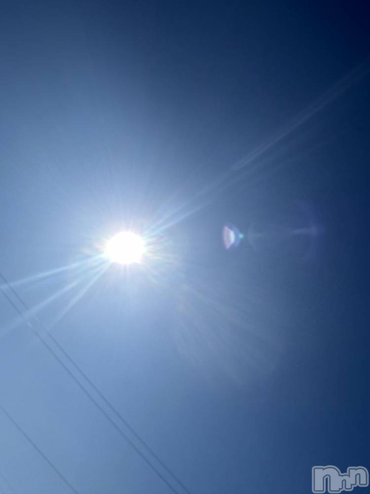 ��Į����Х��顦����֥���� �ץ���� ����(����� �ץ���� ������) ���ߤ���3��9���̥�֥����֡���